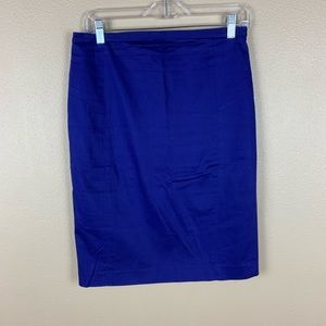 Express Design Studio Skirt